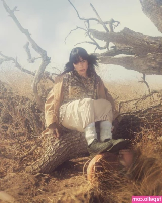 Billie Eilish [ billie-eilish ] - Squeaky clean