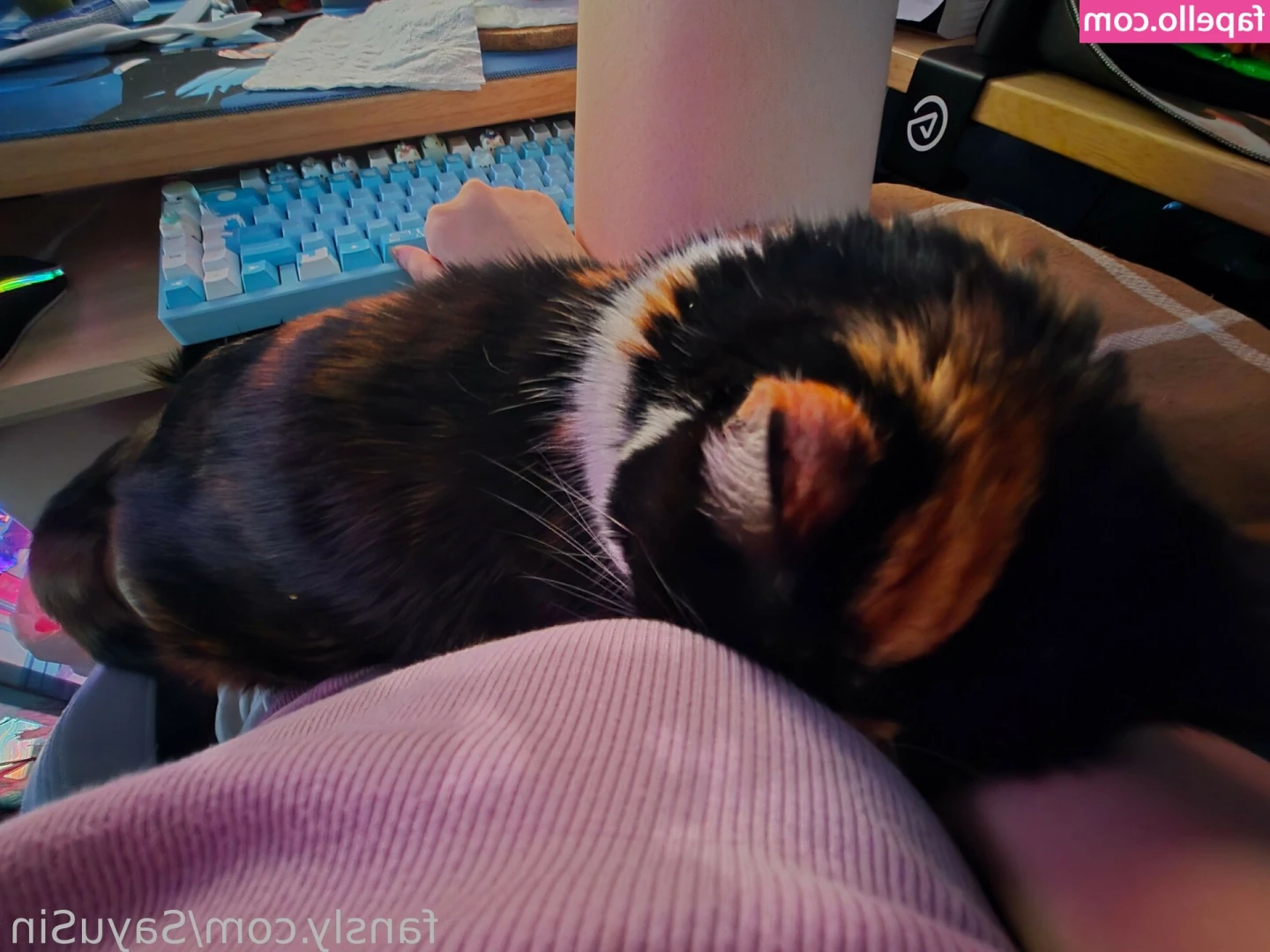 Sayu Sincronisity [ sayu-sincronisity ] - Domani cucciolo questo SET senza vestitini su questo comodo letto che