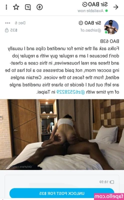 Sir BAO [ sir-bao ] - Kazumi dropped out of Harvard to take over the porn industry....this