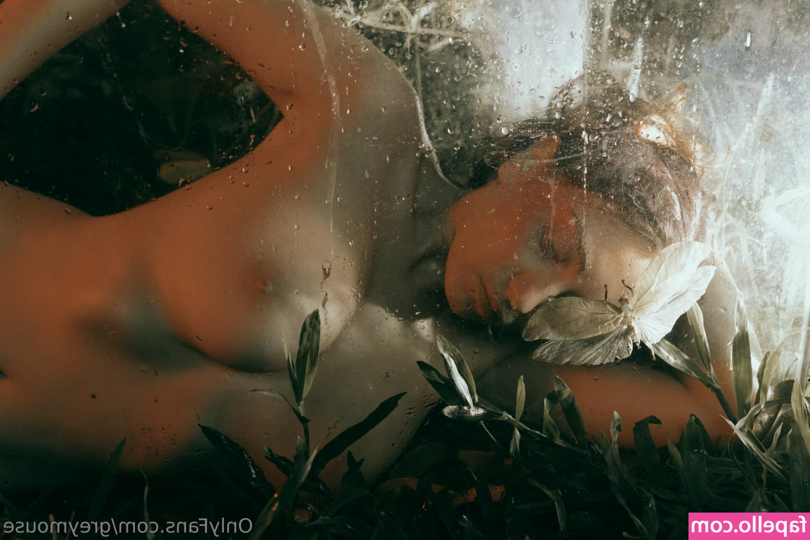 Greymouse [ greymouse-1 ] - <3