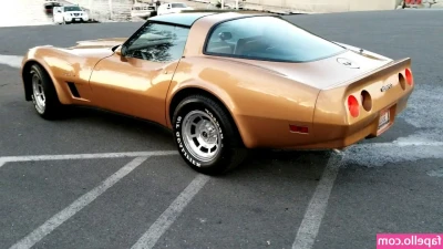 1982.corvette [ 1982-corvette ] - You guys asked for em