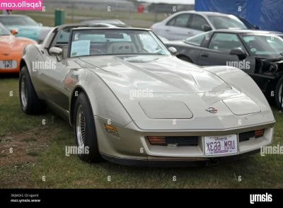 1982.corvette [ 1982-corvette ] - How big do you tnink tney are