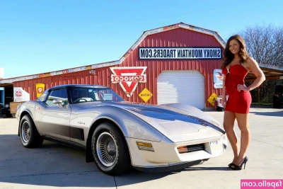 1982.corvette [ 1982-corvette ] - The tight leather outfit will add a sexy touch to your every move.