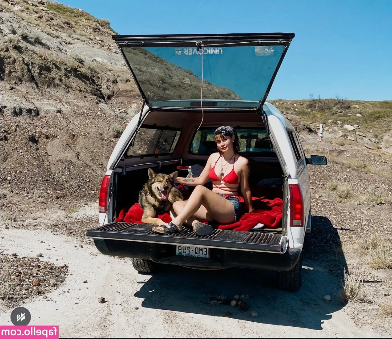 ltl_dog [ ltl-dog ] - jugamos un billar