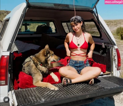 ltl_dog [ ltl-dog ] - 1 week till Valentine s Day  I really hope I get some nice surprises