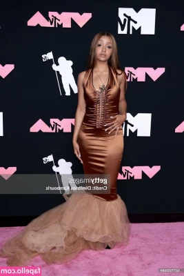 PinkPantheress - 25% sale on my VIP @prettylittlejem  Cum join in the fun 🖤