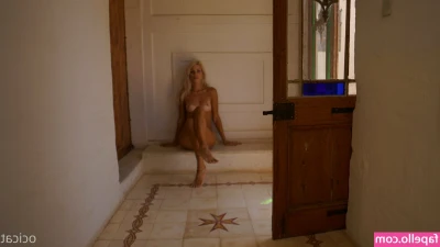 Ocicat - Did you know that you get 5 videos and 3 months free subscription