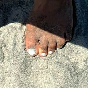 mollyscutetoes