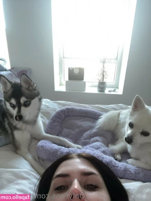 freefrost - Stream started at 03 18 2021 03 27 am  Regal Beagle Happy Hour Video