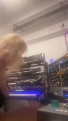Kesha - Swipe to lose clothing