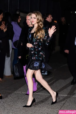 Amanda Seyfried [ amanda-seyfried-1 ] - Una instalación de sistema de aerotermia  Buenos rendimientos  buena