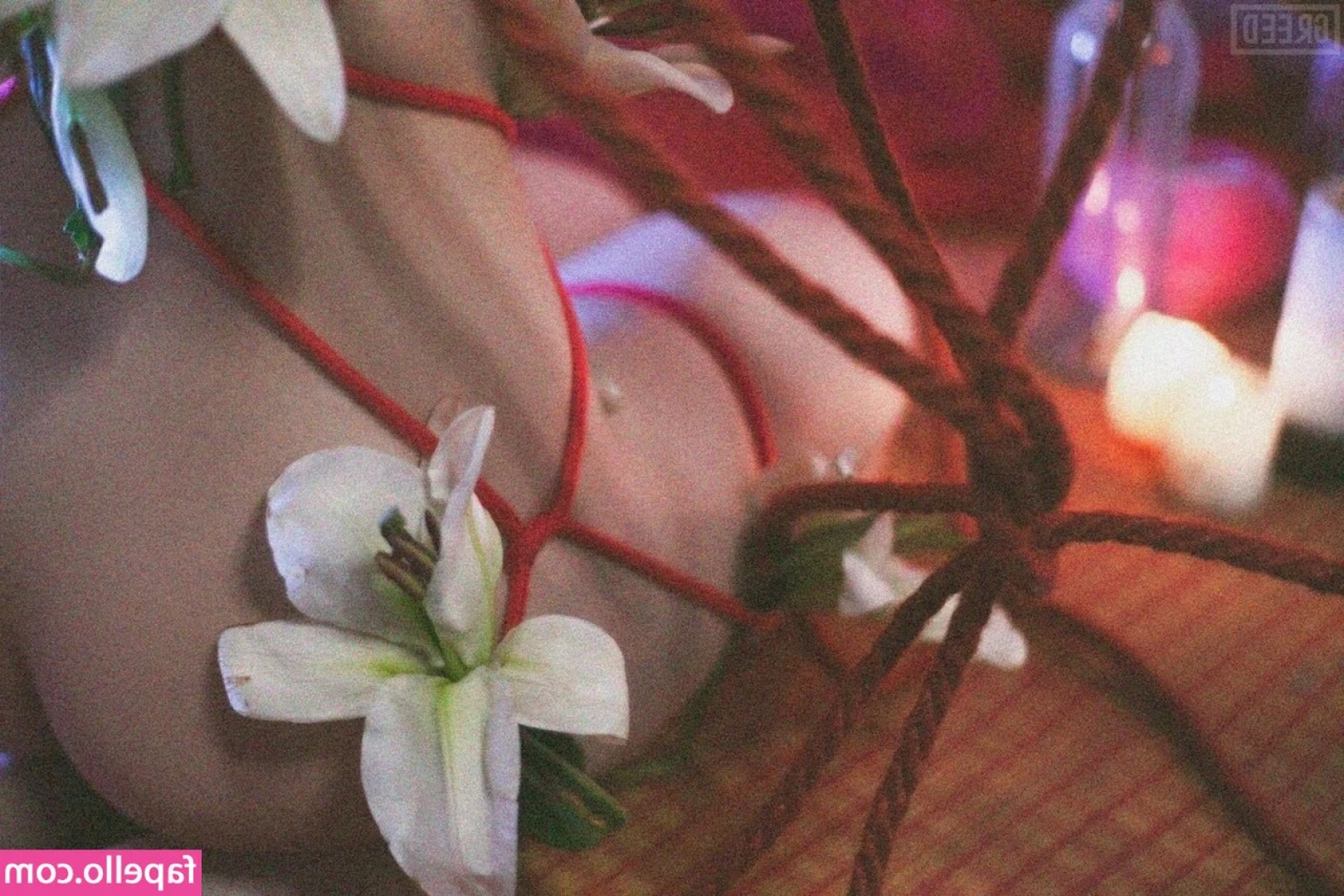 Oichi [ oichi-1 ] - Wanna chill and watch a documentary ☺️