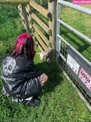 yourxkittyuwu - if you had to choose, where would you do the deed?