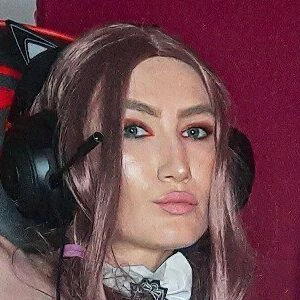 danyan-cat