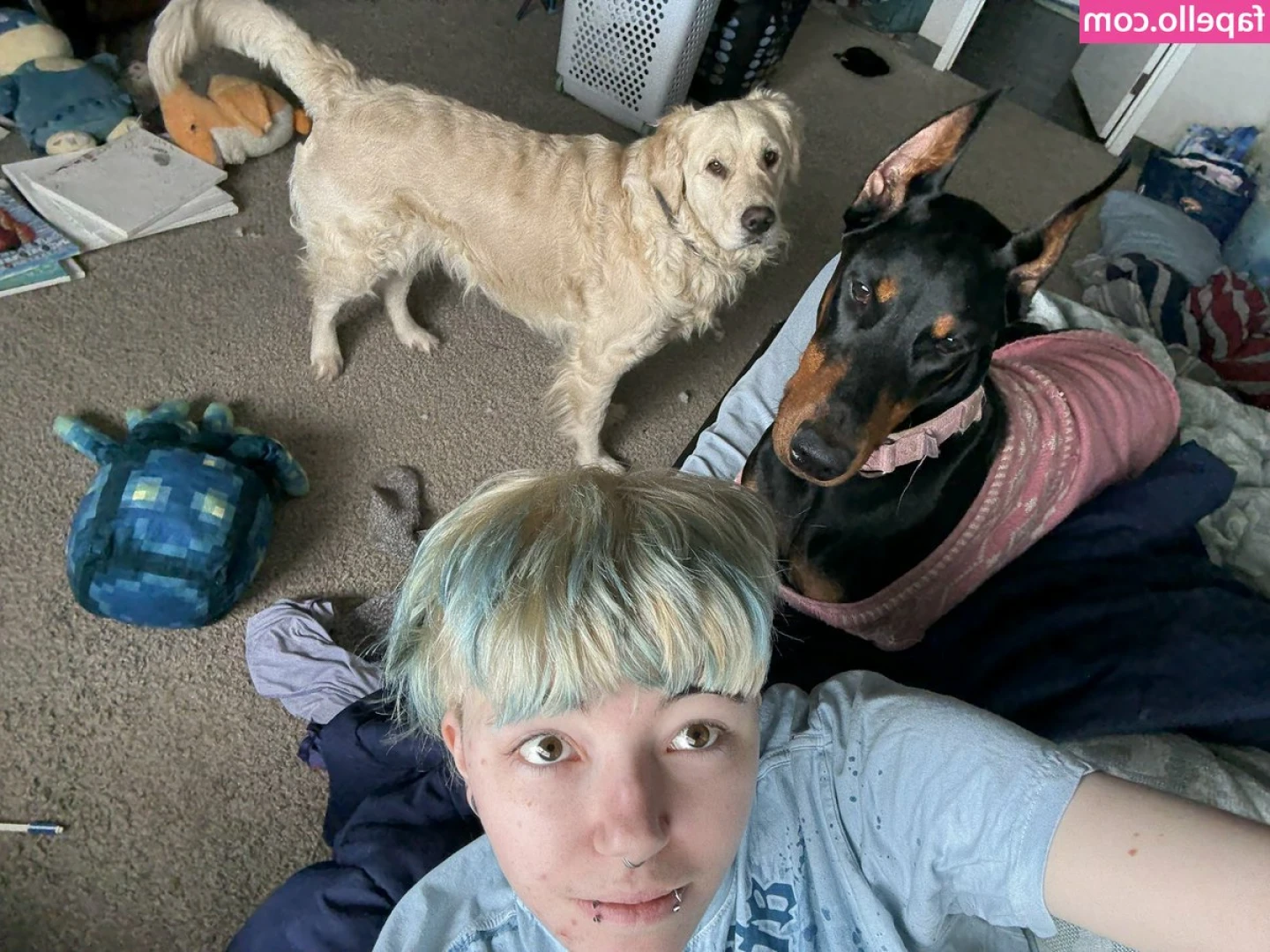 Kate Lavender [ kate-lavender ] - Ok guys... I'm Cooking a roast dinner.... What goes in first??
