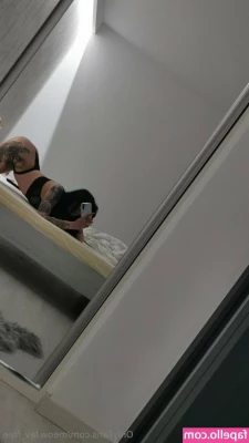 meow.lav_free [ meow-lav-free ] - Natural