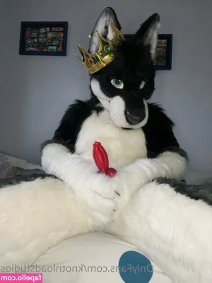 knotnloadstudios - Reselling my first ever dildo fucking video for 50% off! Last chance