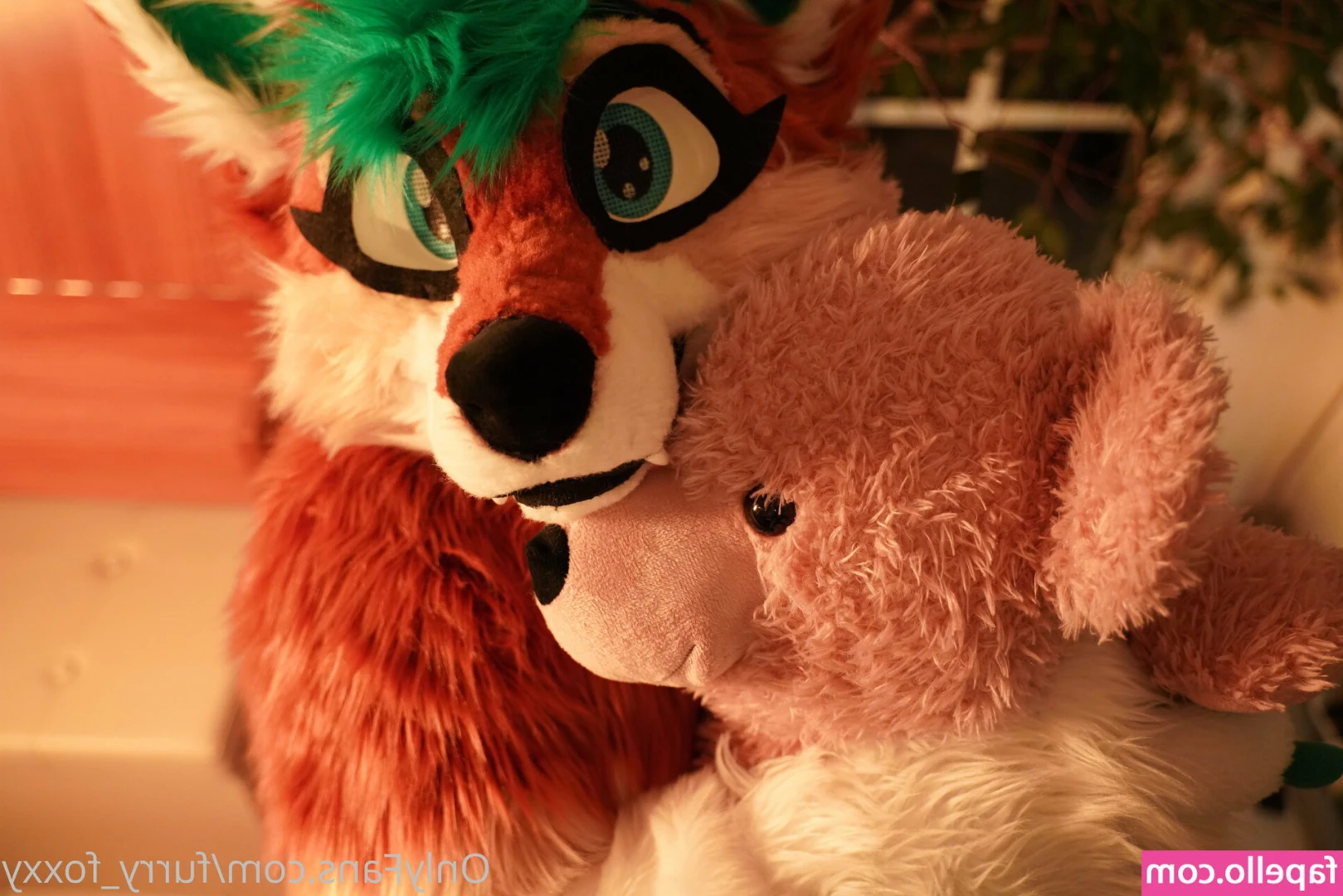furry_foxxy [ furry-foxxy ] - Good morning, baby!! 🥰🥰😘😘😘💋