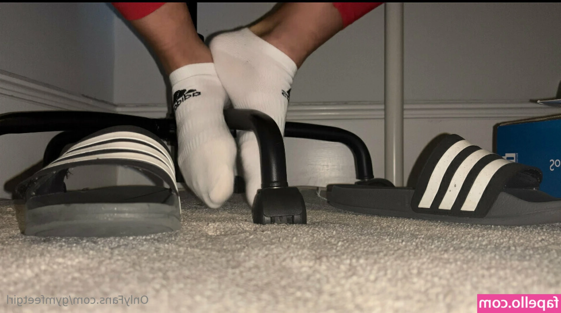 gymfeetgirl - Ass or titty lover? 💦😈