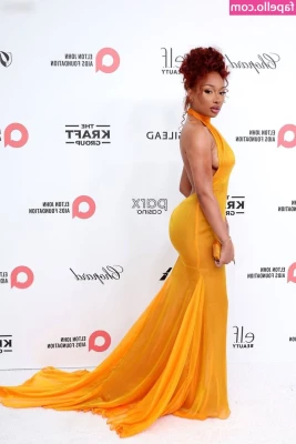 Megan Thee Stallion [ megan-thee-stallion-4 ] - Tonight I m your fantasy