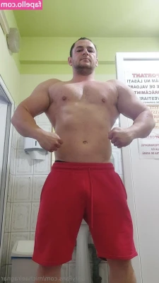 michaelragnar - Posted this the other day, but for some reason it stopped working