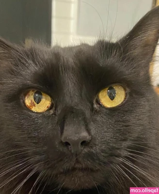 Jeri Ryan [ jeri-ryan ] - Desperté de la siesta con ganas de mimos💖.I woke up from a nap