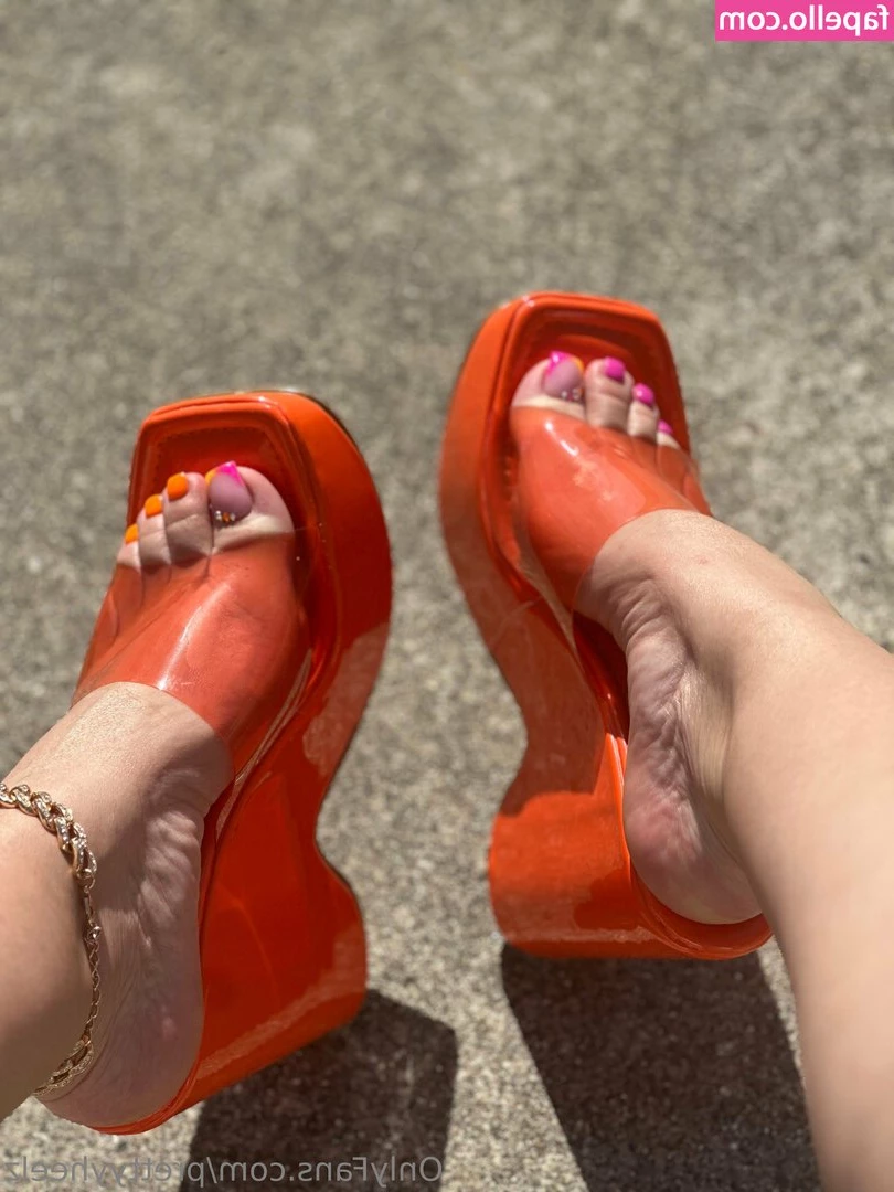 prettyyheelz - Dog