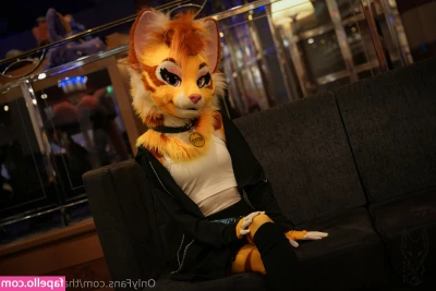 thatyellowkitty [ thatyellowkitty-1 ] - This morning’s message - "thanks for not being dickbags" 🥰