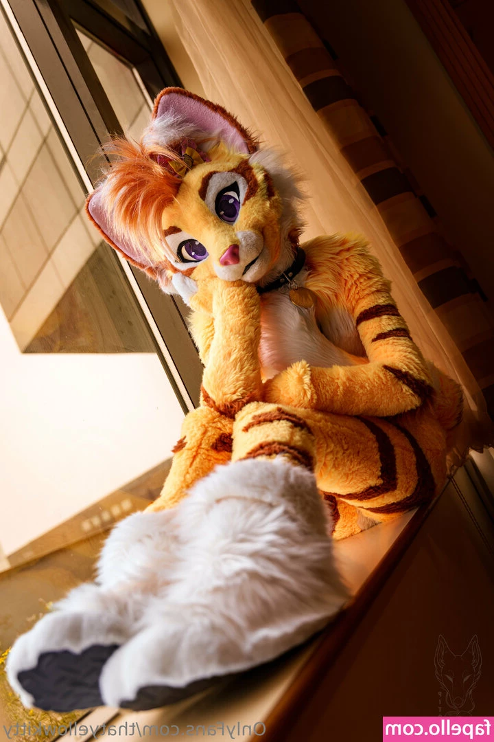 thatyellowkitty [ thatyellowkitty-1 ] - Dreaming of warmer weather