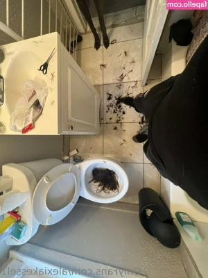 alexiakessel1 - Let s play on my patio