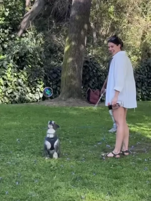 Kira Kosarin [ kira-kosarin ] - Quickie Morning Cum With My Hitachi 🐱 Check Your Inbox 👀