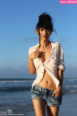 Bai Ling [ bai-ling ] - Under haired eyebrows  She loves sheer leotards very much  Video up  