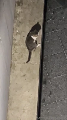 saviorcat - Would you like to add a couple of extra straps…to tie me up?!