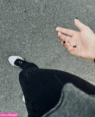 Sansinvt - New Content Drop