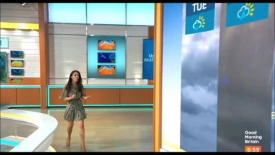  [ laura-tobin ] - Ya realice parte de mi luto  pero el show debe continuar así que