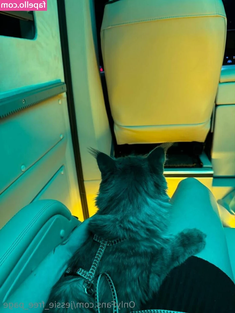 juicy_katie [ juicy-katie ] - Happy tail