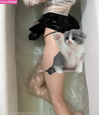 cyberkitty_____ [ cyberkitty ] - stuffed