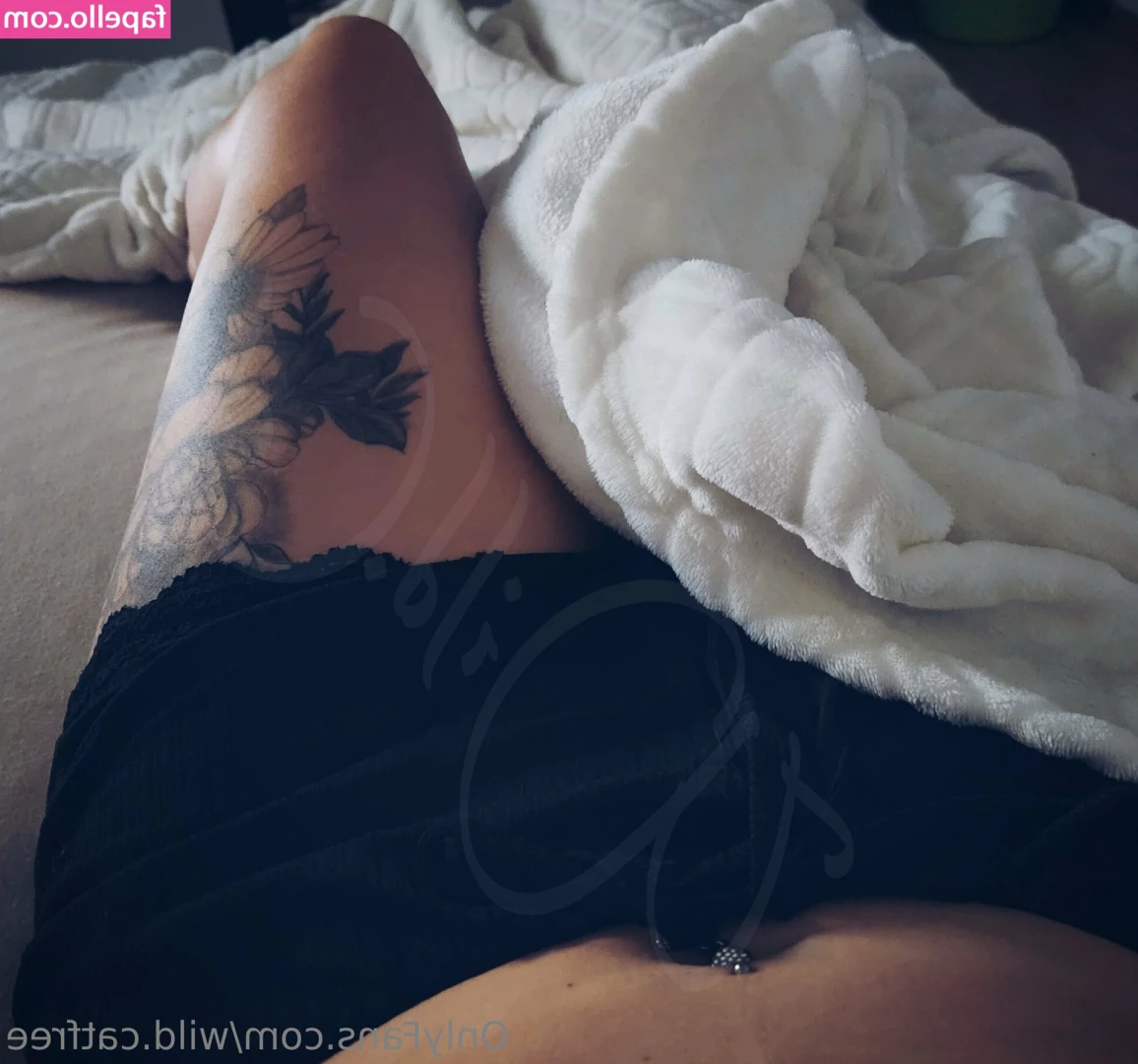 wild.catfree [ wild-catfree ] - Yesterday I fell asleep like a log and woke up surrounded by books,