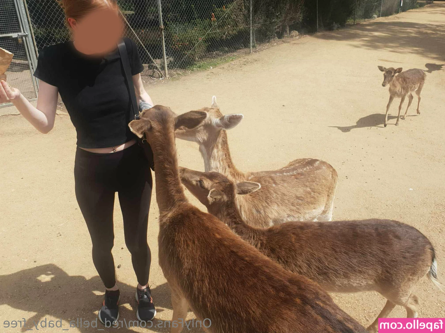 red_bella_baby_free [ red-bella-baby-free ] - I’m going LIVE on my exclusive next week!!! 🤭 I had so much fun