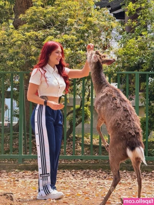 Diana Zambrozuski [ diana-zambrozuski ] - https onlyfans com 560122651 ally_kat13  Okay I dropped the vault