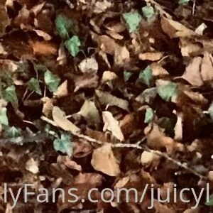 juicylucy505free