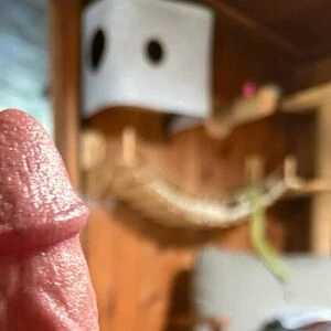 Bicalibro