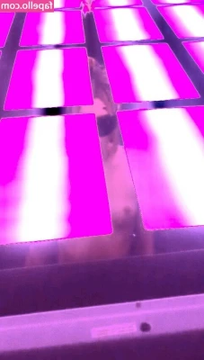 Alissa Violet [ alissa-violet ] - Worship This Ass