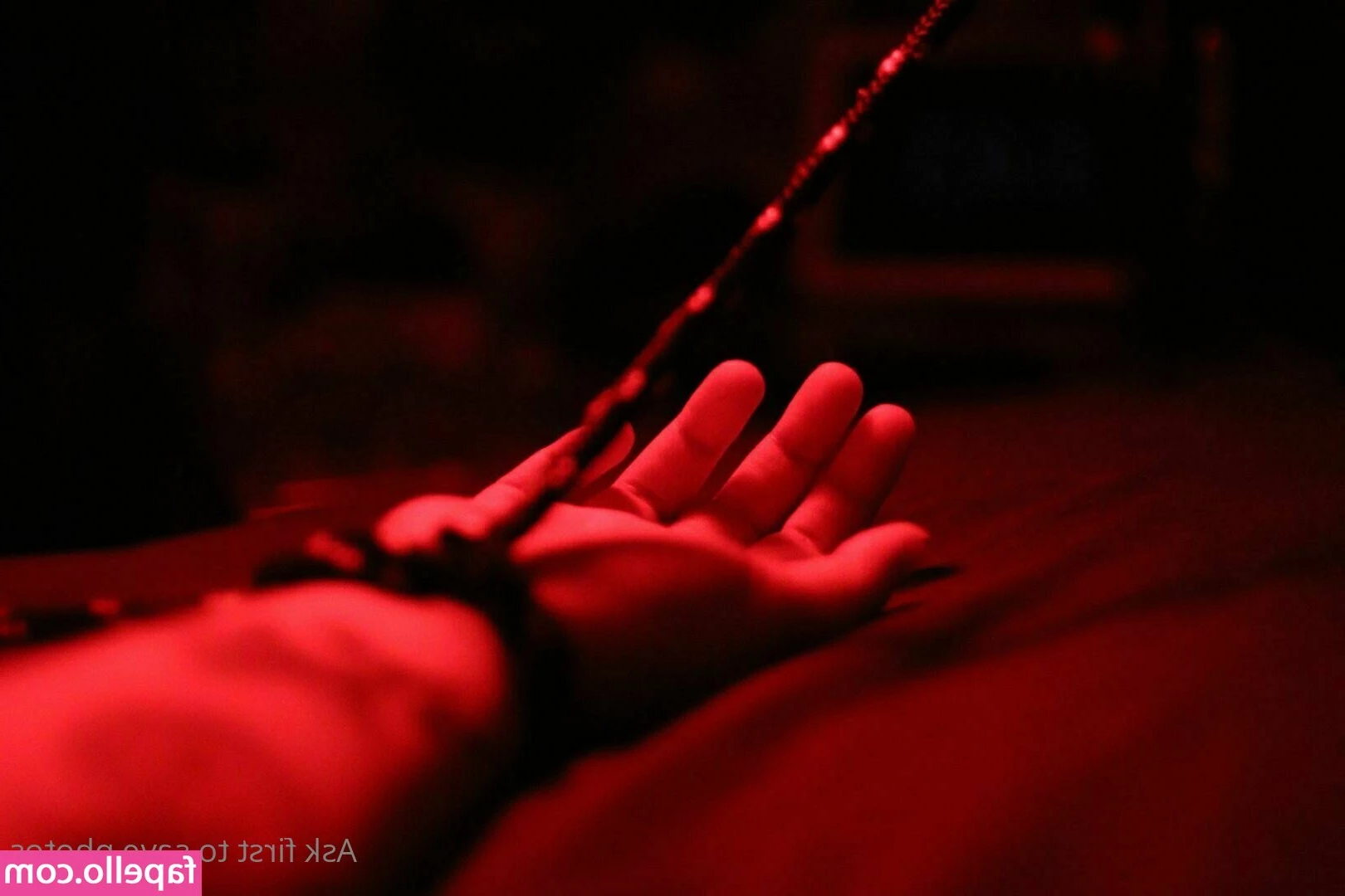 kitten-lunae-lumen - I've got something for you ;)