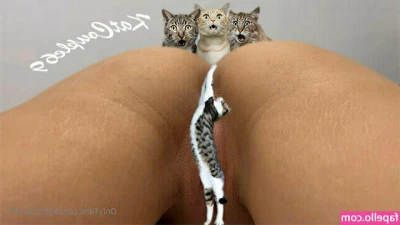 katcouple69 - Happy Sunday gentlemen  Tip in I can t sleep watch me slide um to the