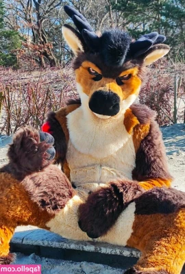 orun_the_deer [ orun-the-deer ] - Cum now