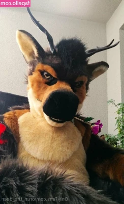 orun_the_deer [ orun-the-deer ] - That s right