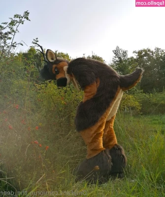 orun_the_deer [ orun-the-deer ] - Soaking the stress away