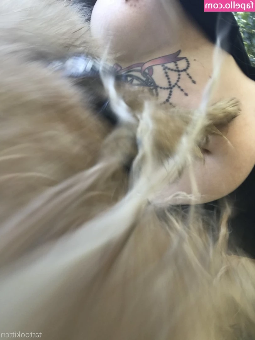 tattookitten - 𝐓𝐨𝐝𝐚𝐲 𝐈 𝐦𝐚𝐝𝐞 𝐦𝐲