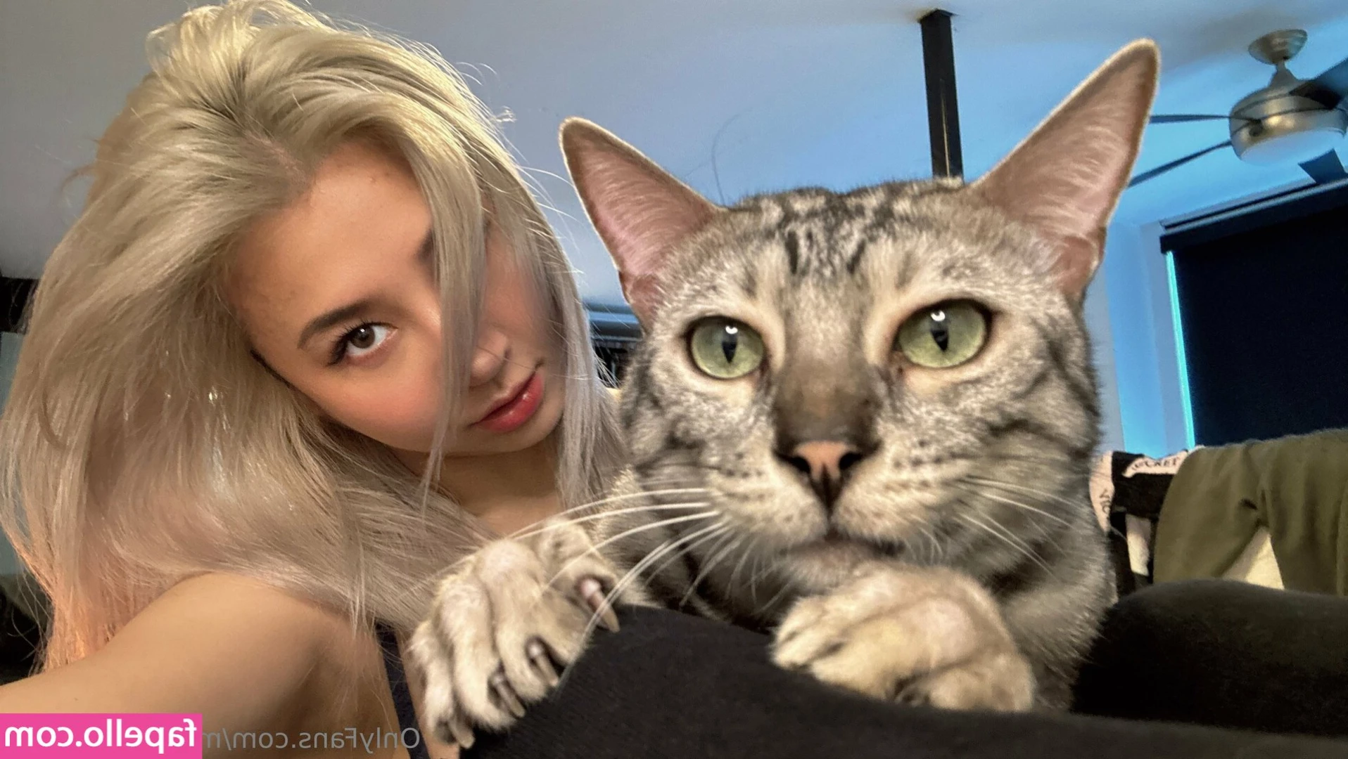meow_meow_tv [ meow-meow-tv ] - FREE DICK RATES 👅 BRING YOUR DICK DADDY don't keep on waiting!